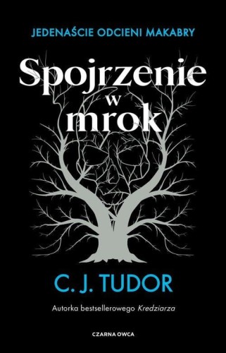Spojrzenie w mrok, Tudor C.J.
