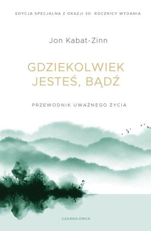 Gdziekolwiek jesteś, bądź, Kabat-Zinn Jon