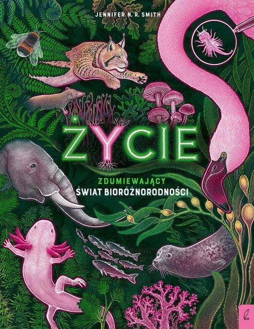 Życie Zdumiewający świat bioróżnorodności
