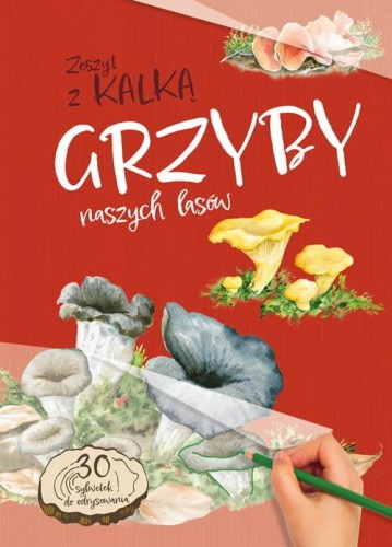 Grzyby naszych lasów, Kopiec Sekieta Katarzyna