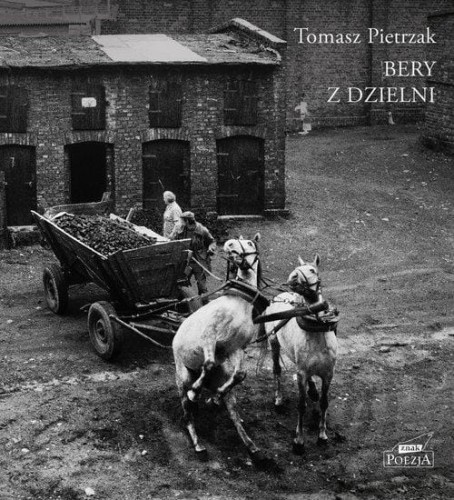 Bery z dzielni, Pietrzak Tomasz