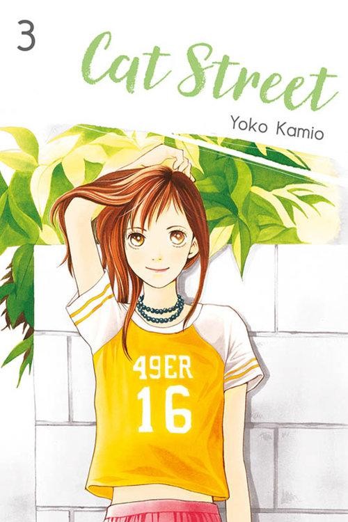Cat Street 3, Yoko Kamio