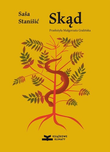 Skąd, Saša Stanišić