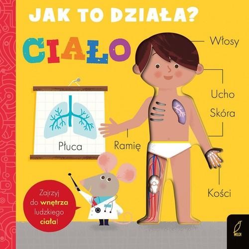Jak to działa Ciało, Hepworth Amelia
