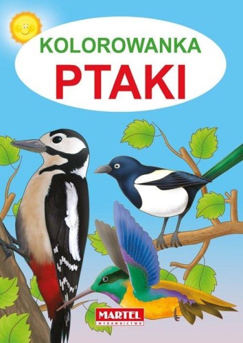 Kolorowanka Ptaki, Żukowski Jarosław