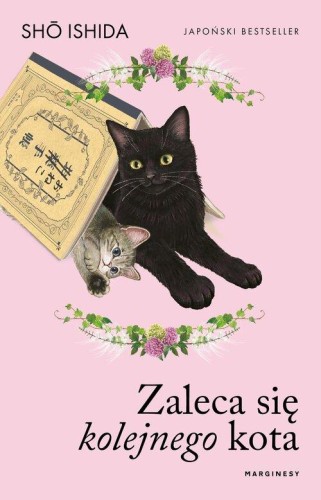 Zaleca się kolejnego kota, Ishida Shō