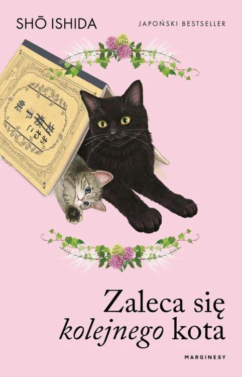 Zaleca się kolejnego kota, Ishida Shō