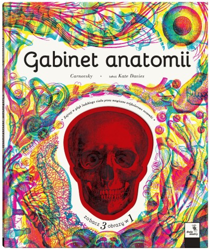Gabinet anatomii, Kate Davies